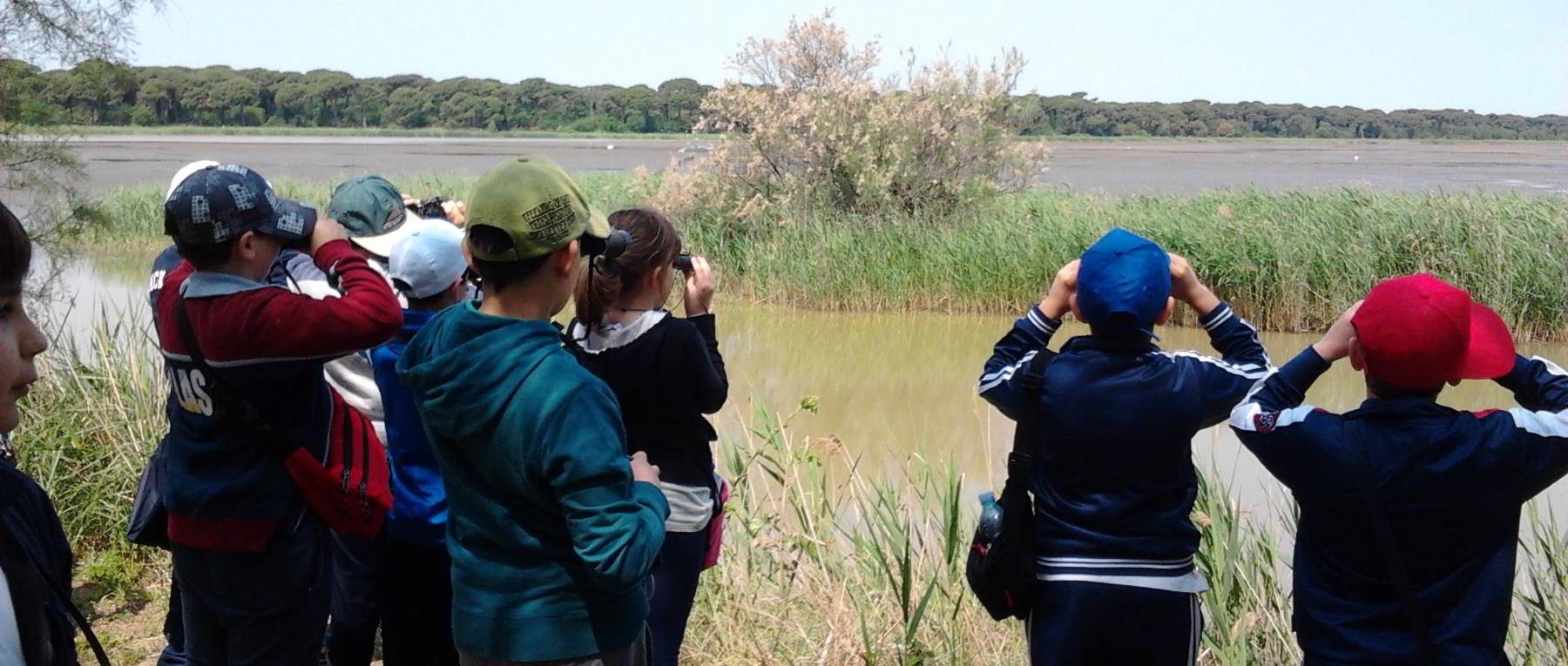 Didattica scuole museo Natura Ravenna