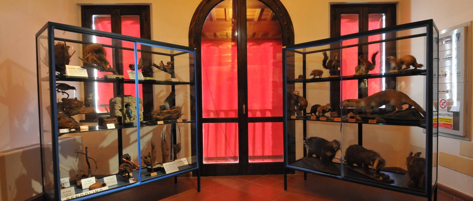 Museo Natura Ravenna