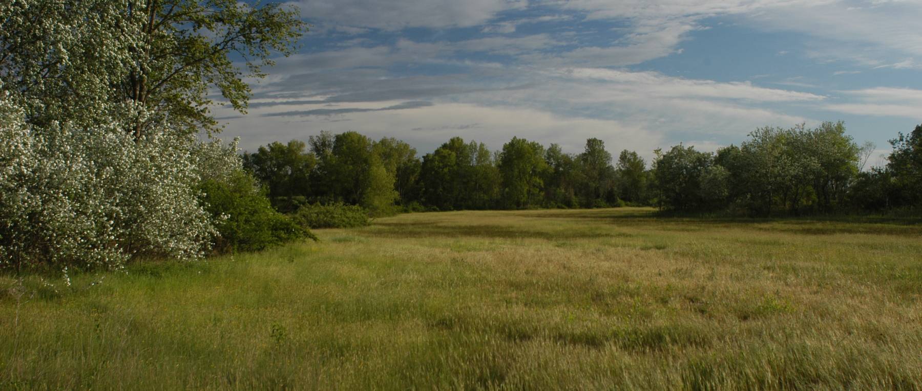 Panoramica Natura Ravenna