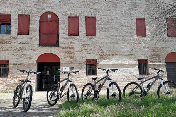 Quattro biciclette parcheggiate nel prato davanti al Museo