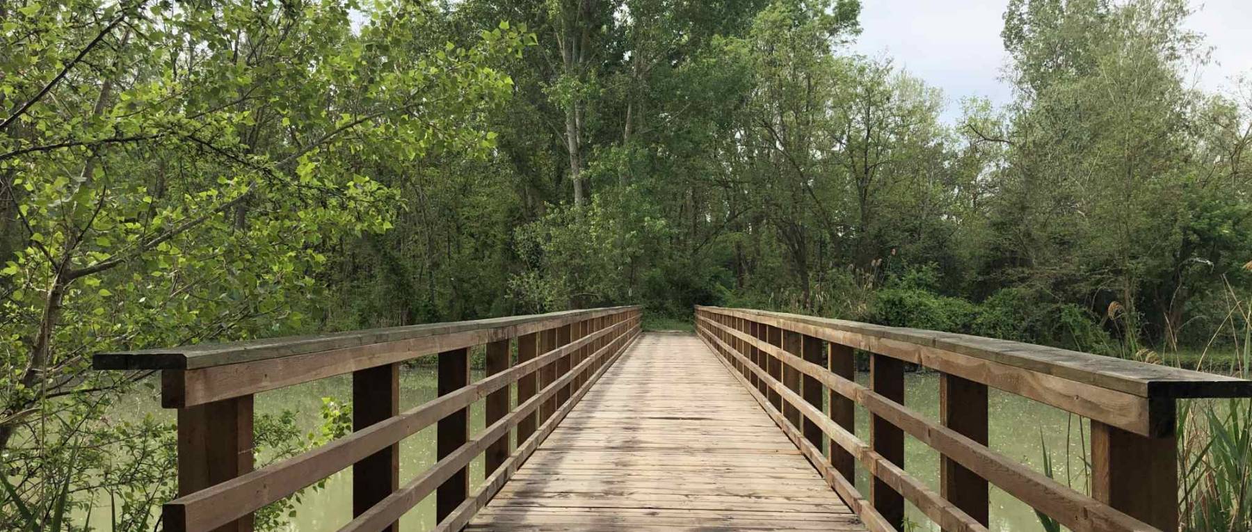 Il ponte di legno sul canale Fossatone a Punte Alberete