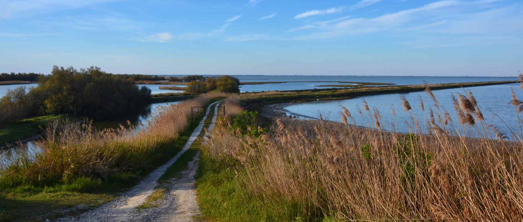 Valli di Comacchio – Valentina Capelli 1