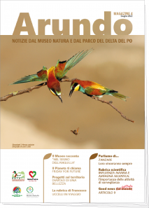 Prima pagina del magazine Arundo, numero 4